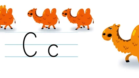 C letter writing like camel bactrian cartoon animation Stock Footage 321764557