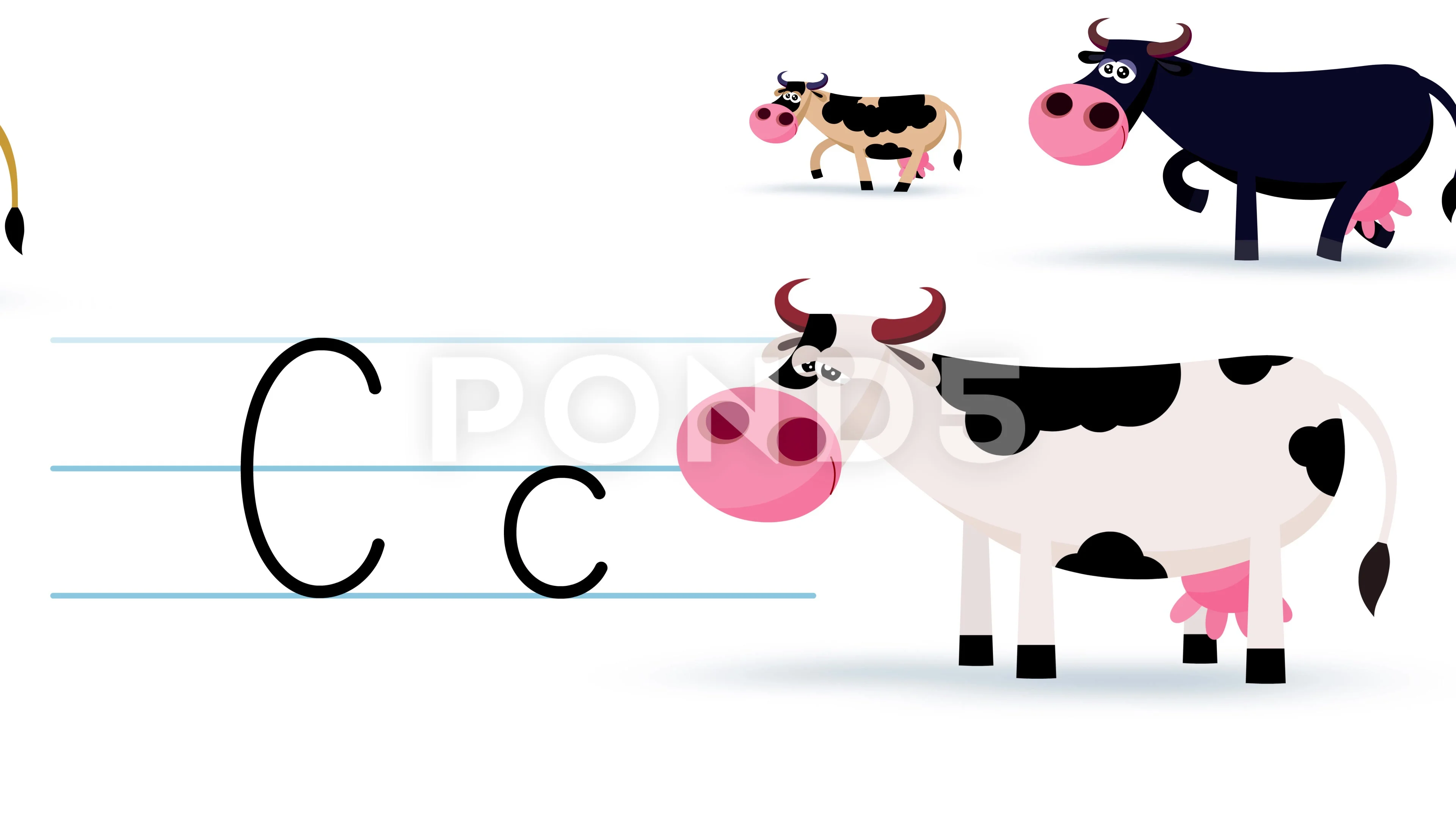 C letter writing like cow cartoon animat... | Stock Video | Pond5