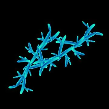 C. pseudotropicalis candida. Pathogenic yeast-like fungi of the Candida type Stock Illustration