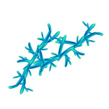 C. pseudotropicalis candida. Pathogenic yeast-like fungi of the Candida type Stock Illustration