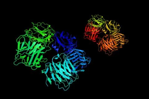C-reactive protein (CRP), an annular (ring-shaped), protein found in blood .. Stock Illustration
