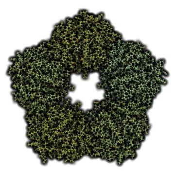 C-reactive protein (crp, human) inflammation biomarker, chemical structure. i Stock Illustration