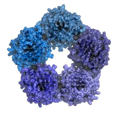 C-reactive protein (crp, human) inflammation biomarker, chemical structure. i Stock Illustration