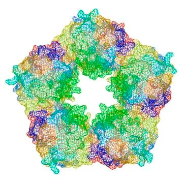 C-reactive protein, molecular model Illustrazione stock
