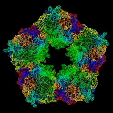 C-reactive protein, molecular model Stock Illustration