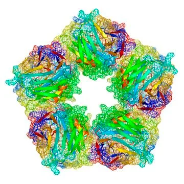C-reactive protein, molecular model Illustrazione stock