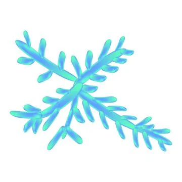 C. utilis candida. Pathogenic yeast-like fungi of the Candida type morphological Stock Illustration