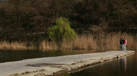 C Walk HD 스톡 동영상 684572