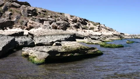 C0006 Stock Footage 139251320