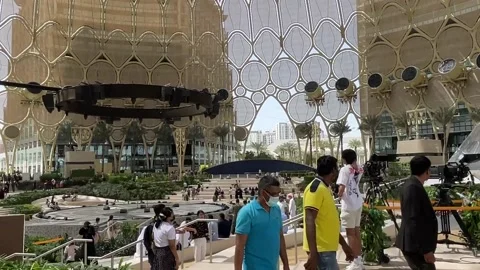 C0007 17 Stock-Footage 171759934