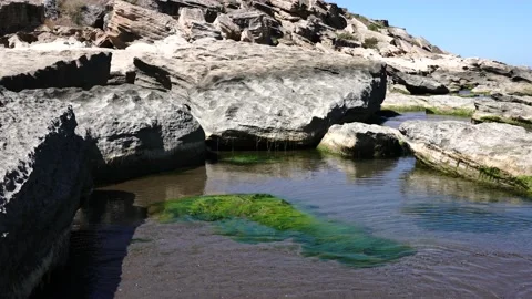 C0007 Stock Footage 139251047