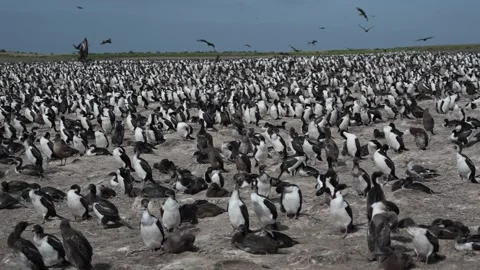 C0007 Stock Footage 331657802