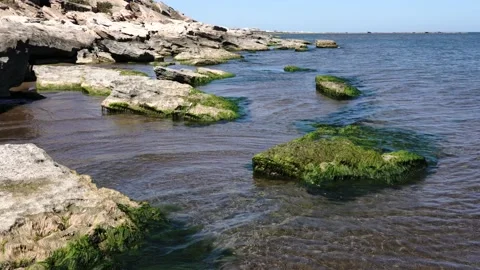 C0008 Stock Footage 139251193