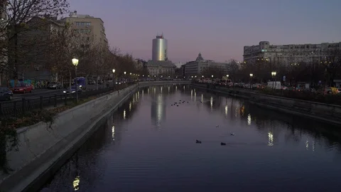 C0020 7 Stock Footage 86804656