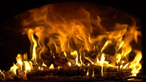 C0024 Stock Footage 130135069