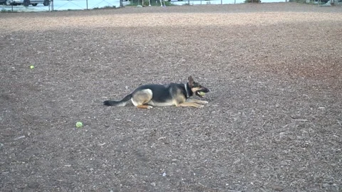 C0024a Vídeos de archivo 152960107