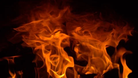 C0028 Stock Footage 130134949