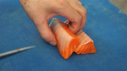 C0033 Stock Footage 106351097