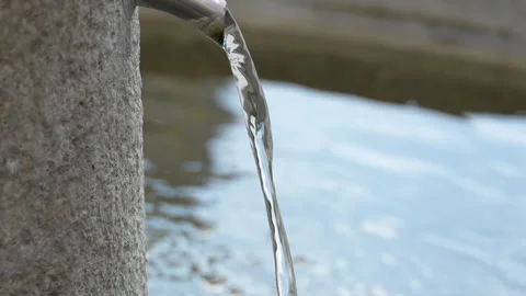 C0041 Video stock 345603447