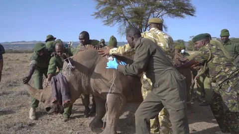 C0048 Vidéo 252884604