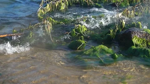 C0077 Stock Footage 149567792