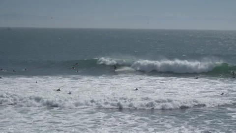 C0084 Vídeos de archivo 303553770