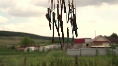 +C0087 스톡 동영상 160986448