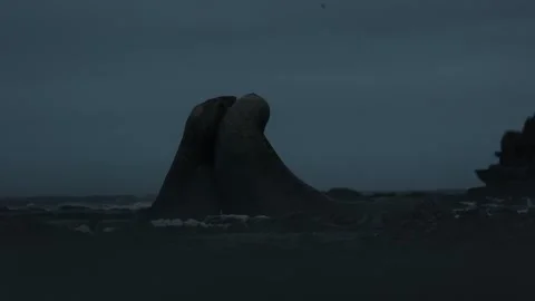 C0087 Vidéo 331865775