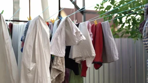 C0091 Stock Footage 160986759