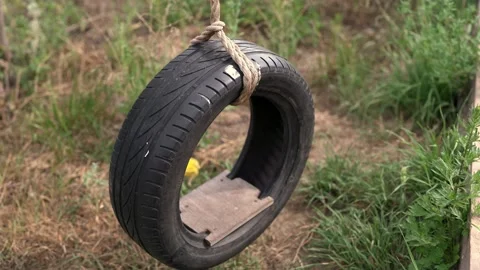 C0109 Stock Footage 160986912