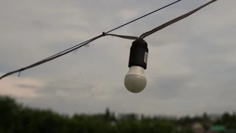 C0110 Stock Footage 160986895