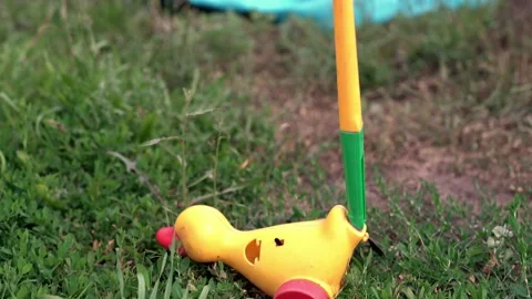 C0112 Stock Footage 160986917