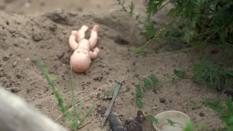 C0114 Stock Footage 160986959