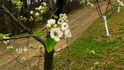 C0115 1 1+ ++ Video stock 140436530