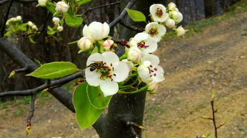 C0116 1 1+ ++ Stock Footage 140436528