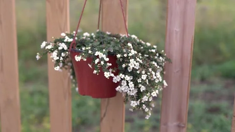 C0119 Stock Footage 160987019