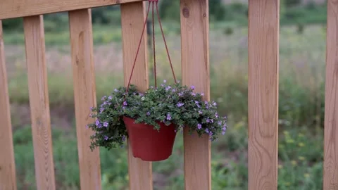 C0120 Stock Footage 160987051