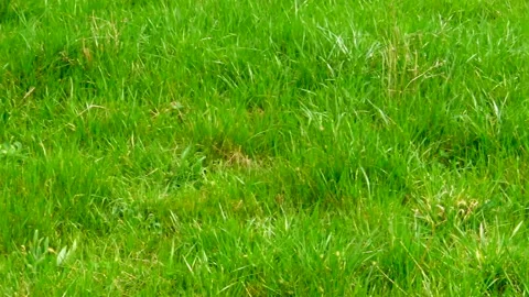 C0122 1+ ++ 動画素材 140436370