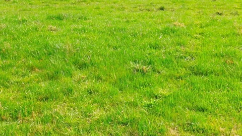 C0123 1+ ++ Stock Footage 140436463