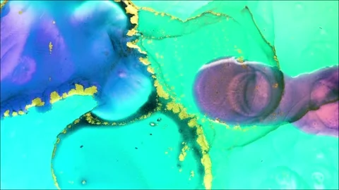 C0125 2 1 Stock Footage 169520301