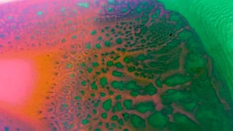 C0125 Stock Footage 169520244