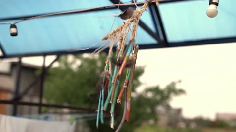 C0127 스톡 동영상 160987123