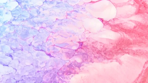 C0127 Stock Footage 169520342