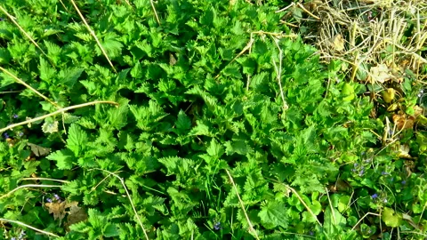 C0128 1+ ++ Stock Footage 140436623