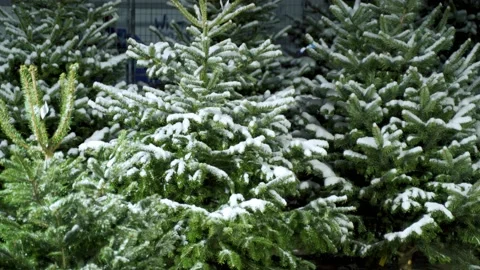 C0131 Stock-Footage 225795493