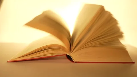 C0159 Stock Footage 293156851