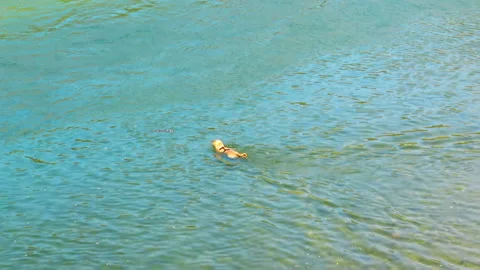 C0180 1+ ++ Stock Footage 140436790