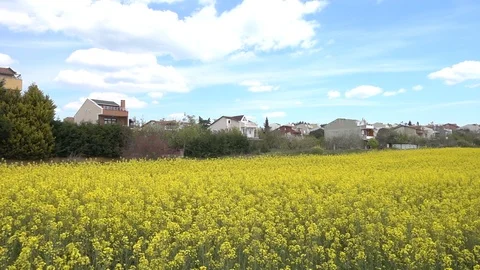 C0257 Stock Footage 116371120