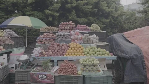 C0376 Stock Footage 201490049