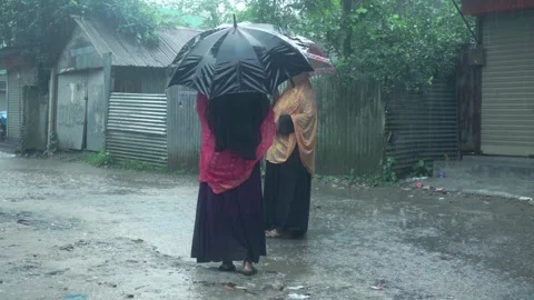 C0929 Stock Footage 332564494